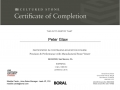 Peter-Glaw_AIA_CERT-stone-veneer Peter-Glaw_AIA_CERT-stone-veneer
