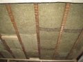 IMG_1087 IMG_1087