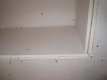 IMG_1101 IMG_1101